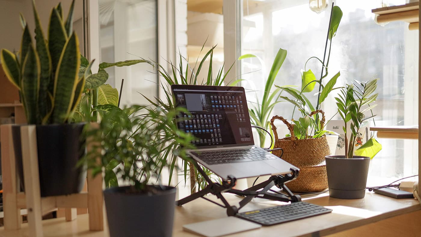 图片正在显示在家工作的设备,工作桌上放了盆栽,在办公空间内放置绿色摆设能让氛围变得舒适